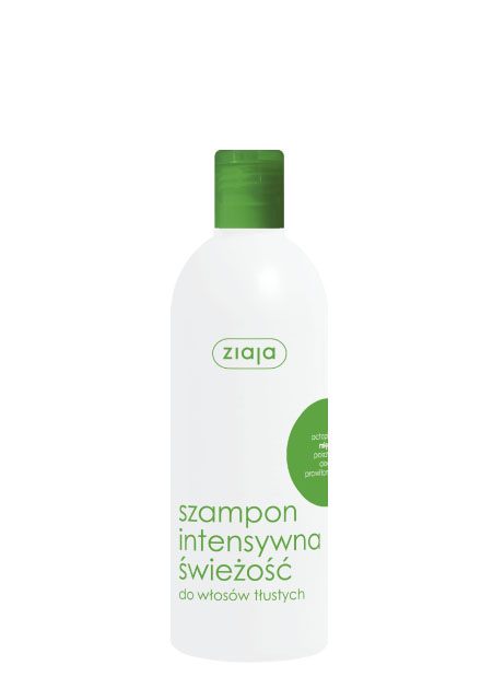 odviežujúci šampón na mastné vlasy s výťažkom z mäty